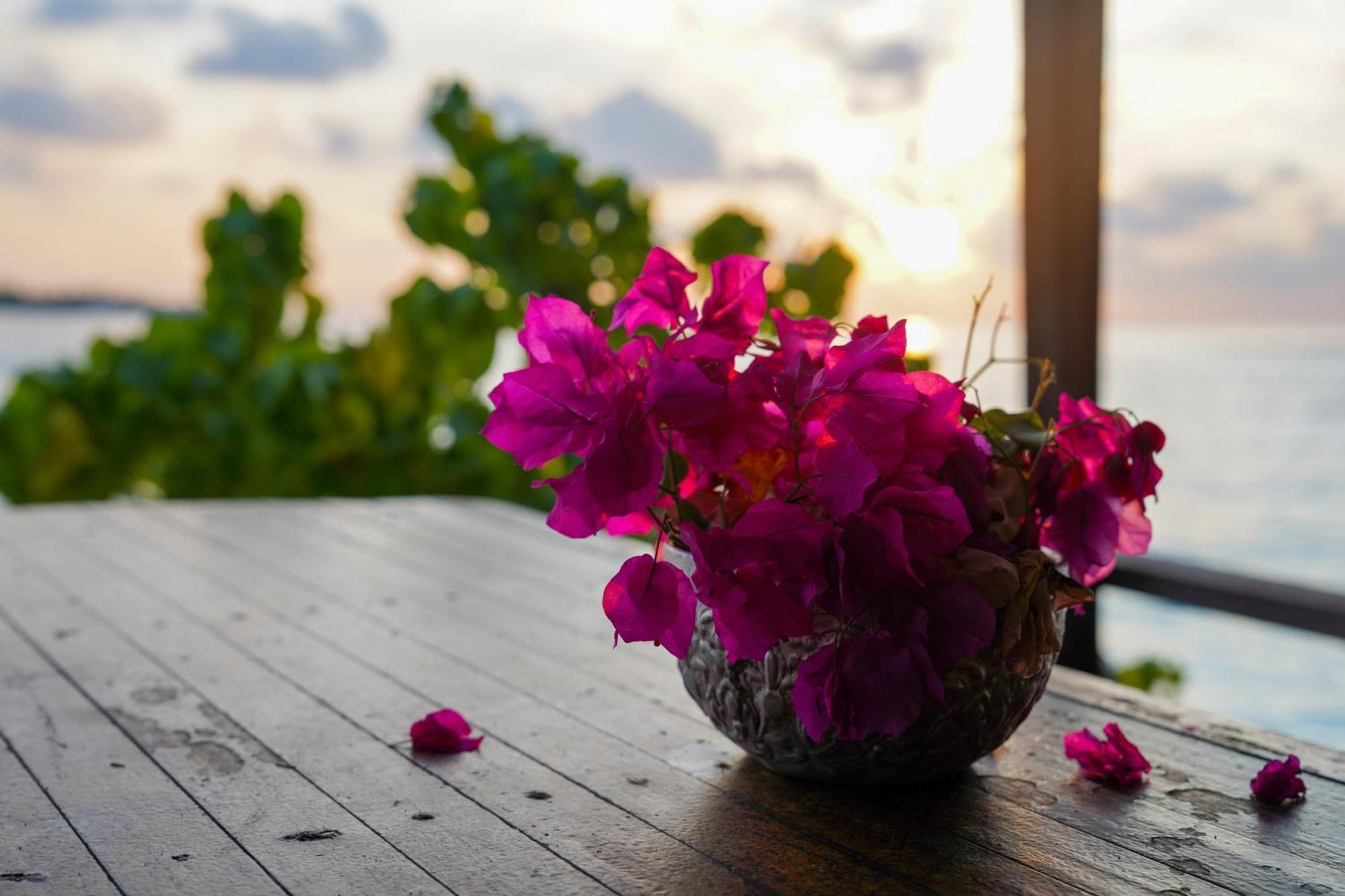Sun & Surf Hotel Thulusdhoo Exterior photo